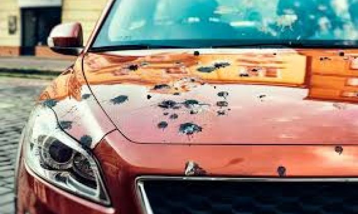 Bird Dropping Damage to Lease Cars